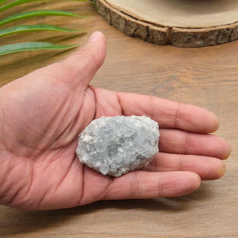 Hand holding a celestite crystal rock on a wooden surface