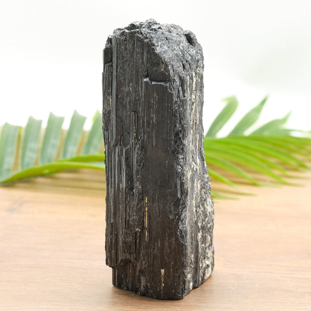 large raw black tourmaline crystal