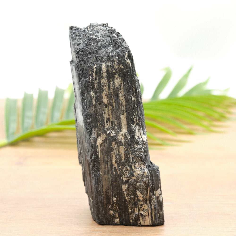 raw black tourmaline crystal