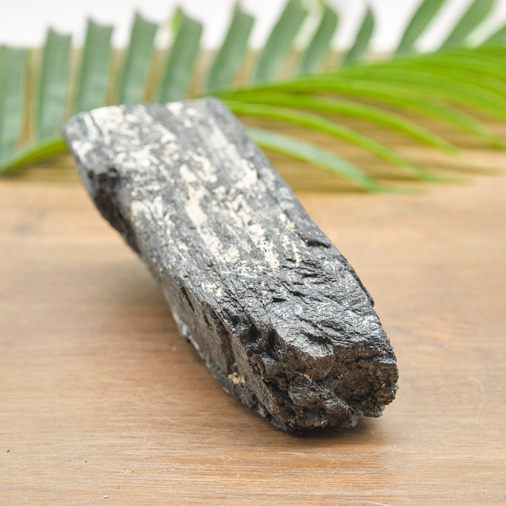 Large Rough Black Tourmaline Natural Rock 925g