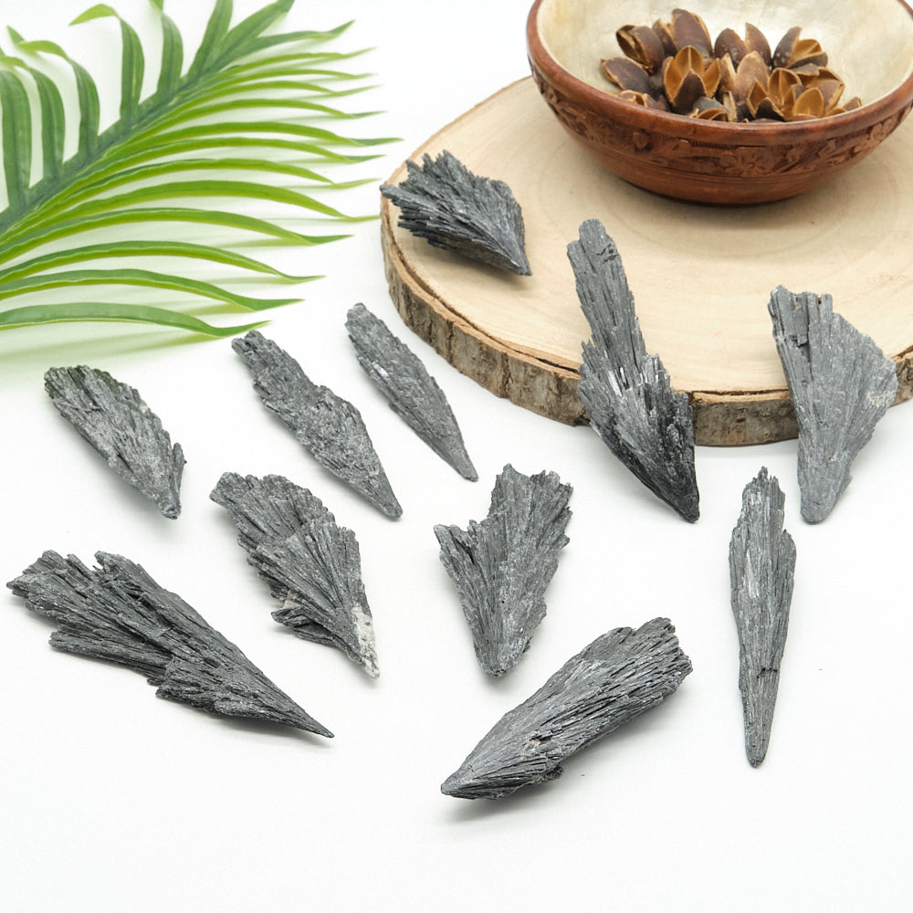 Decorative elements including  black kyanite fan crystals, a wooden bowl with seeds, and green leaves on a white background.