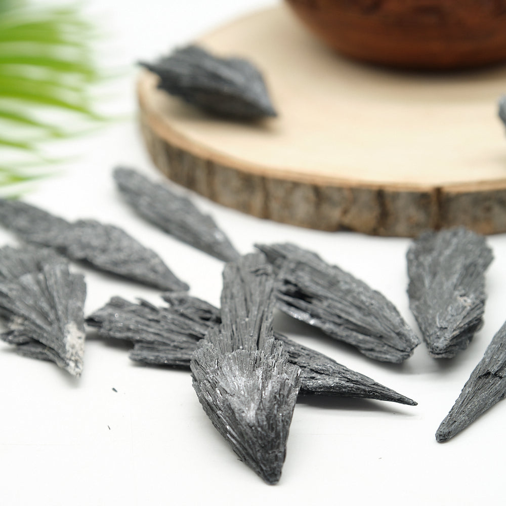  black kyanite fan crystals on a wooden surface with a blurred background