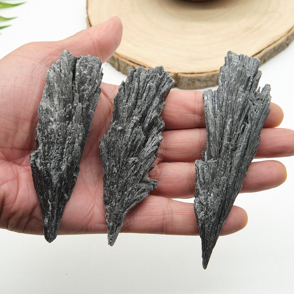  black kyanite fan crystals held in a hand with a wooden surface in the background