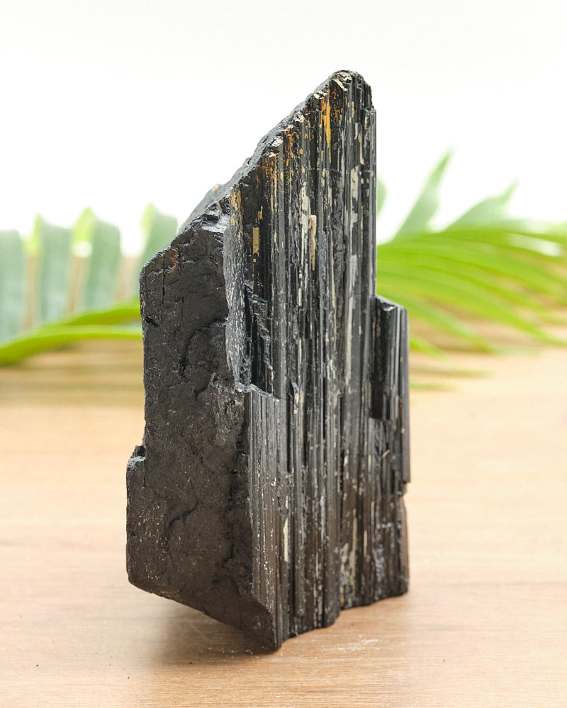 Large Rough Black Tourmaline Natural Rock 1133g