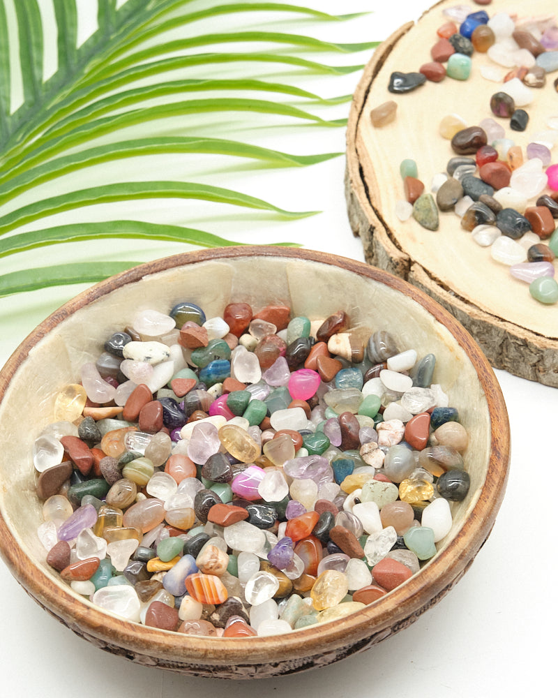 Small bowl filled with multicolored crystal stones on a white surface with a leafy background