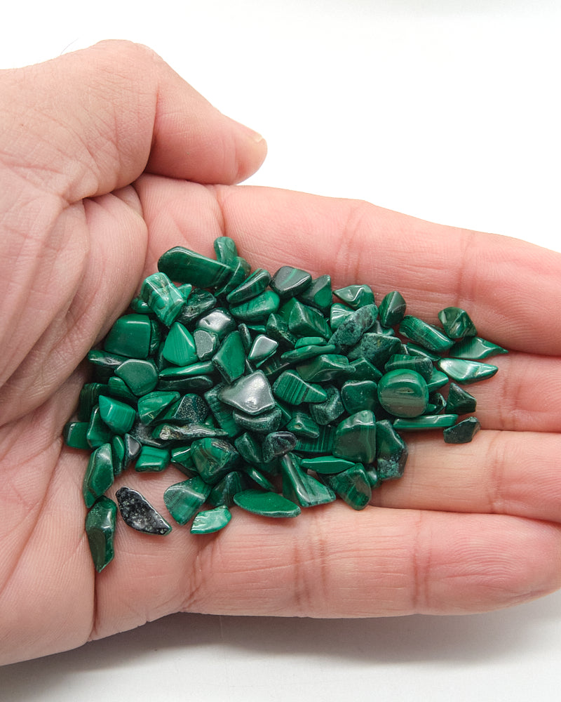 Hand holding a small pile of green Malachite stones against a white background
