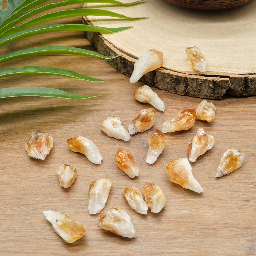 citrine points Mineral stones on a wooden surface with green leaves