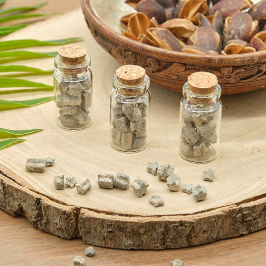 Crinoid Star Fossils In 3 Bottles Gift Set
