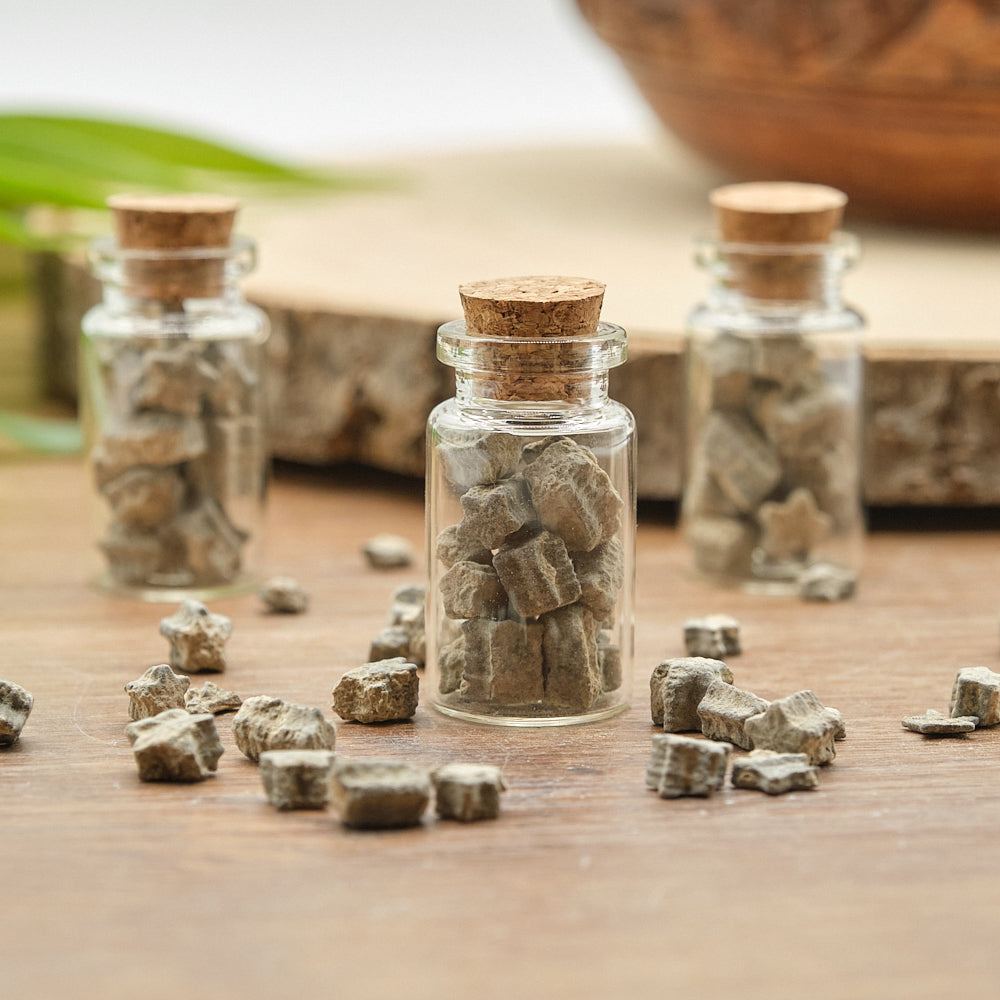 Crinoid Star Fossils In 3 Bottles Gift Set