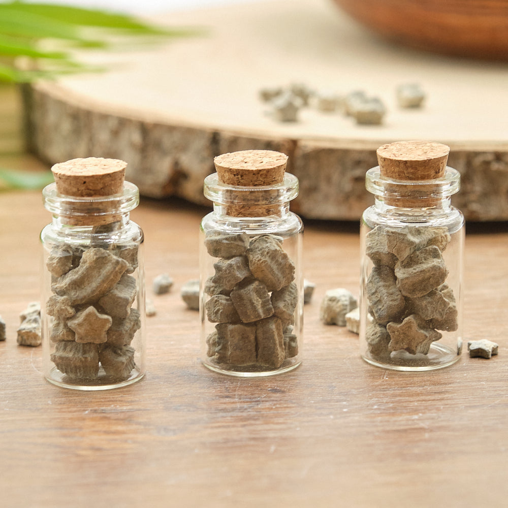 Crinoid Star Fossils In 3 Bottles Gift Set