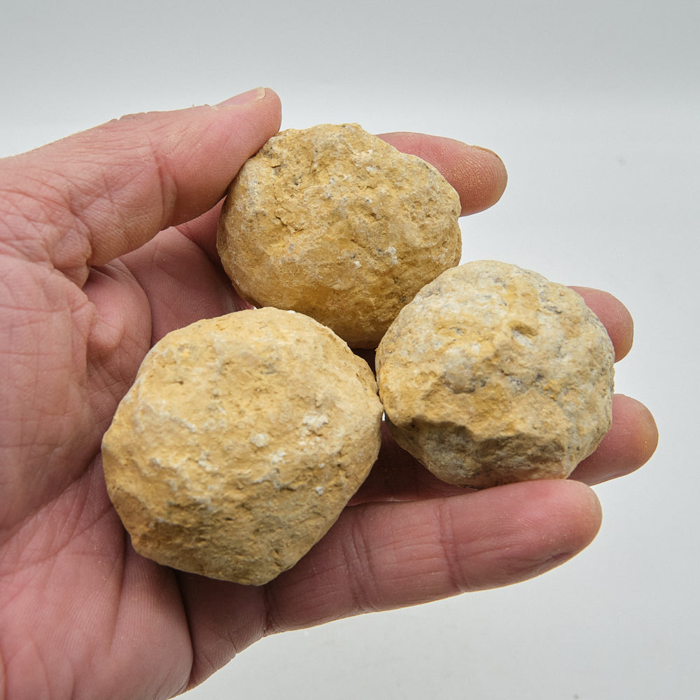 Three unbroken quartz geodes held in a hand against a white background