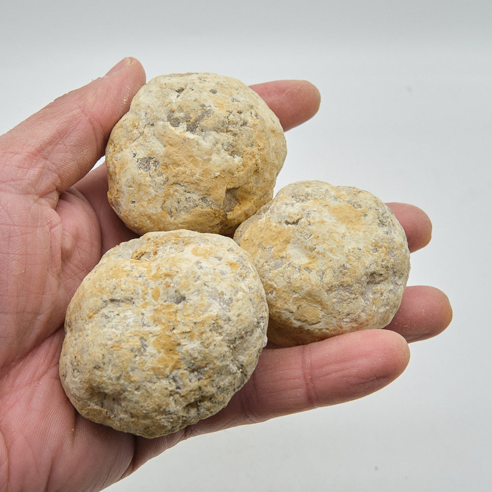 Three unbroken quartz geodes held in a hand against a white background