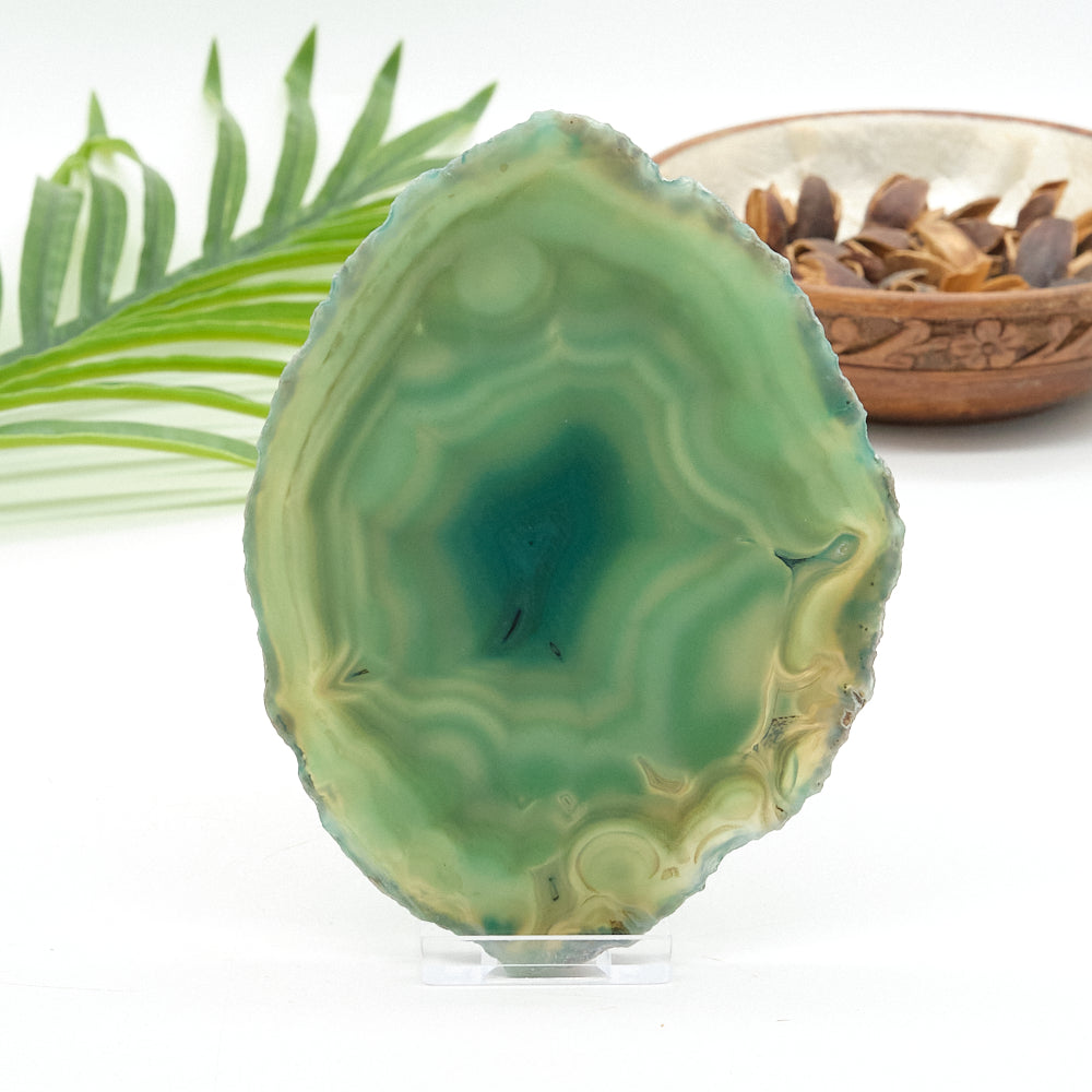 Large Green Agate Slice With Stand