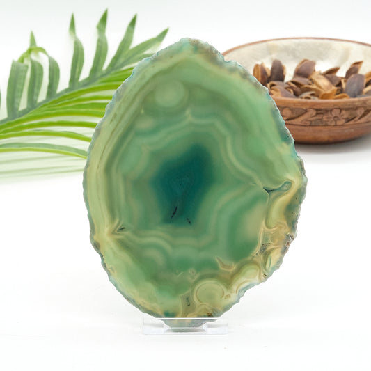Large Green Agate Slice With Stand