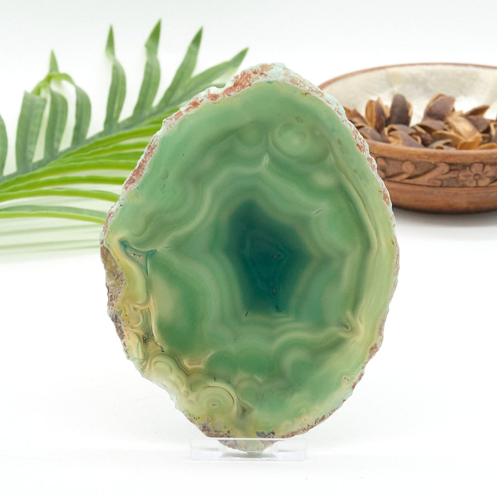 Large Green Agate Slice With Stand