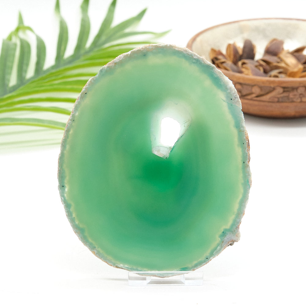 Large Green Agate Slice With Stand