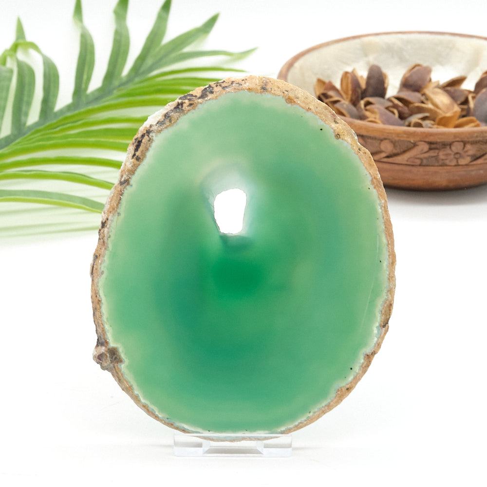 Large Green Agate Slice With Stand
