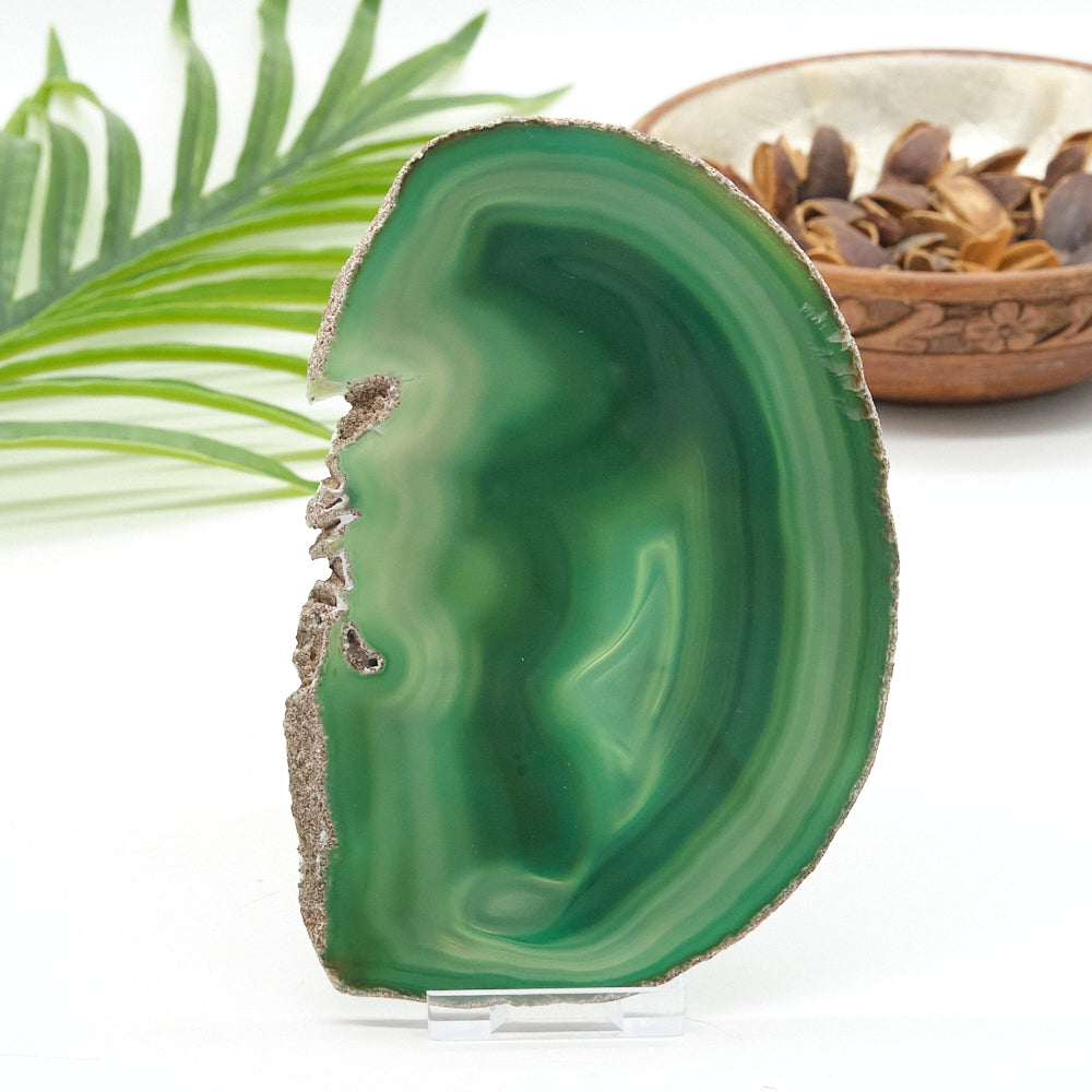 Large Green Agate Slice With Stand