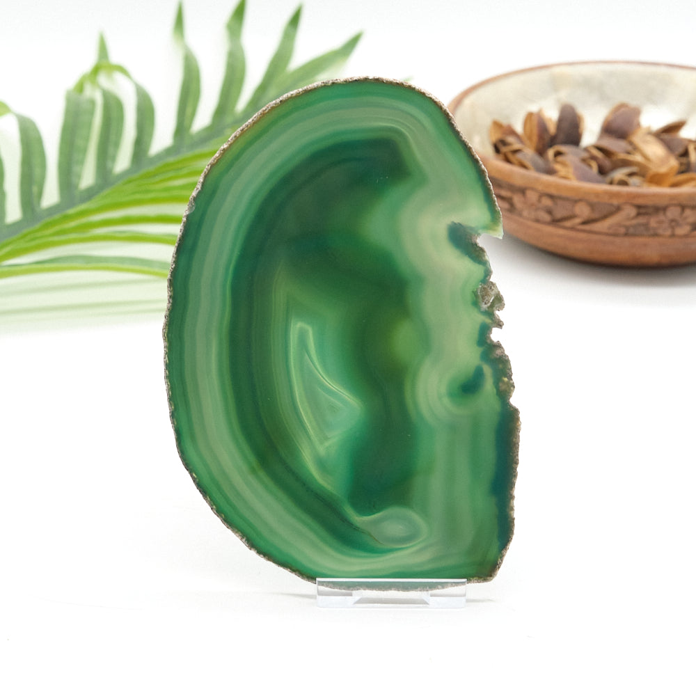 Large Green Agate Slice With Stand