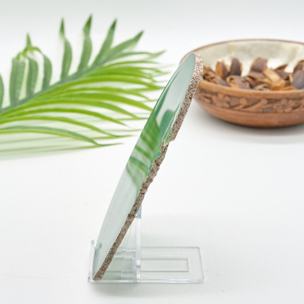 Large Green Agate Slice With Stand