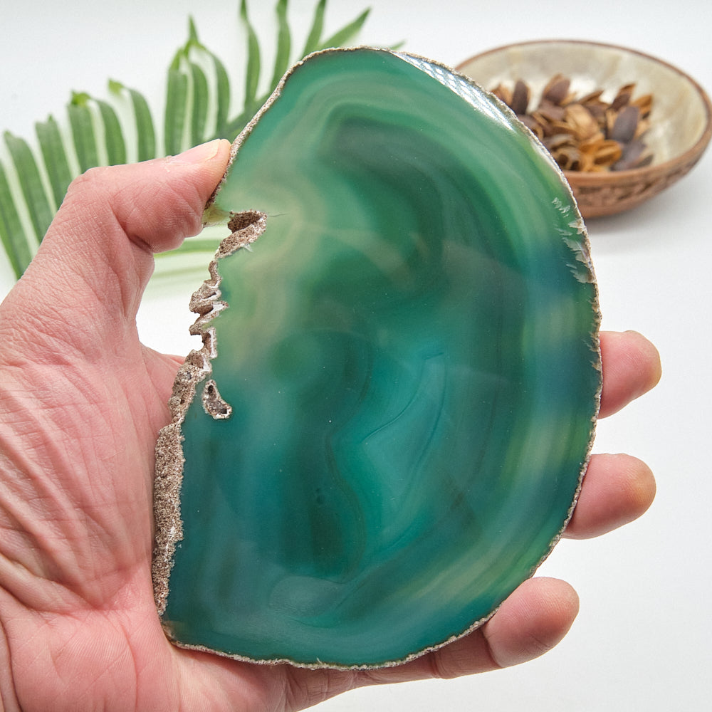 Large Green Agate Slice With Stand