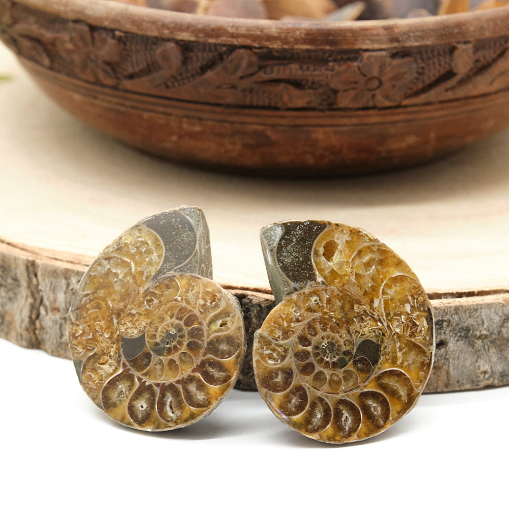 Large Genuine Ammonite Pairs 4-8cm