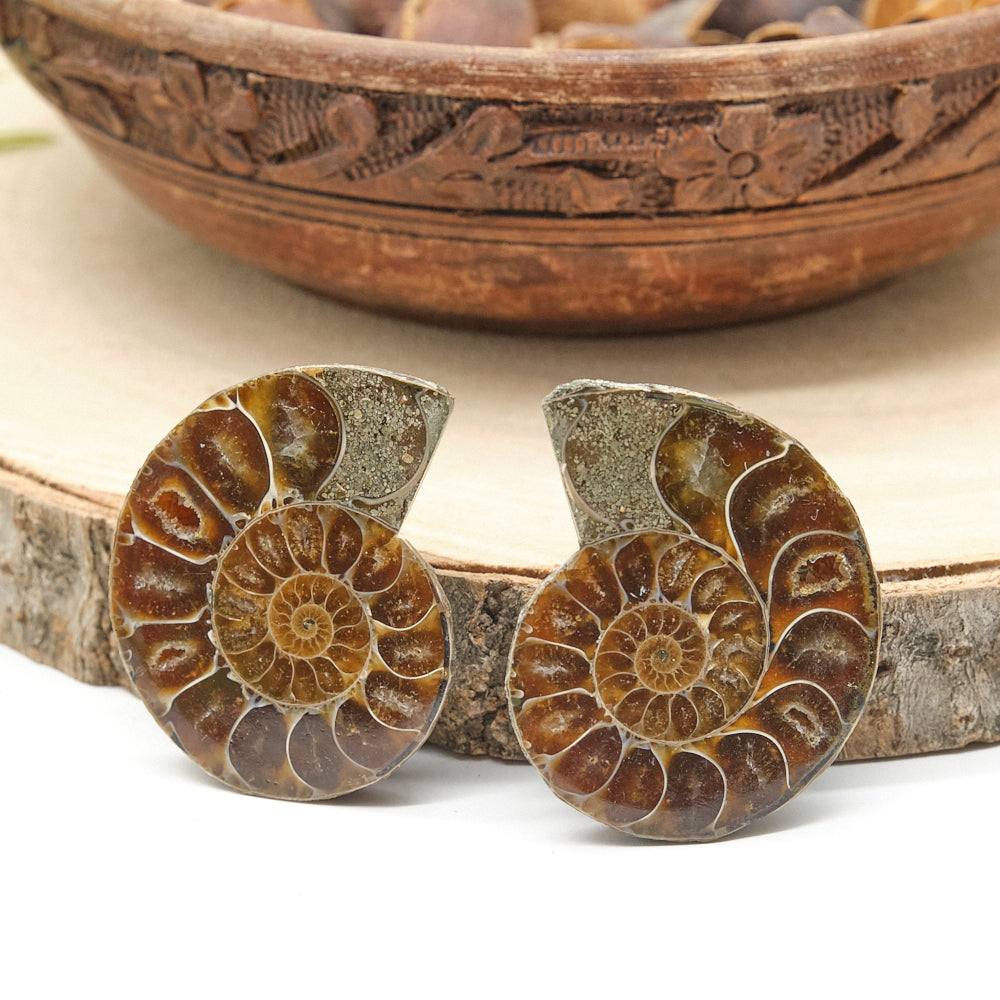 Large Genuine Ammonite Pairs 4-8cm