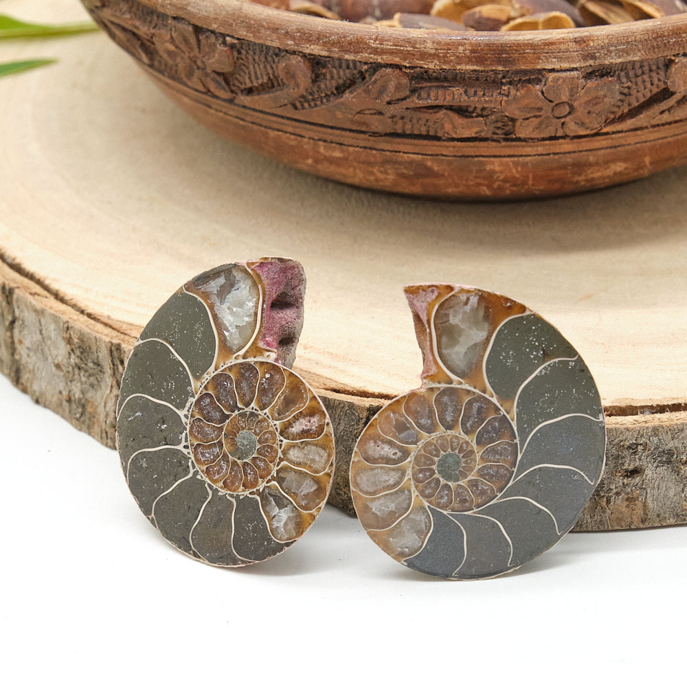 Large Genuine Ammonite Pairs 4-8cm