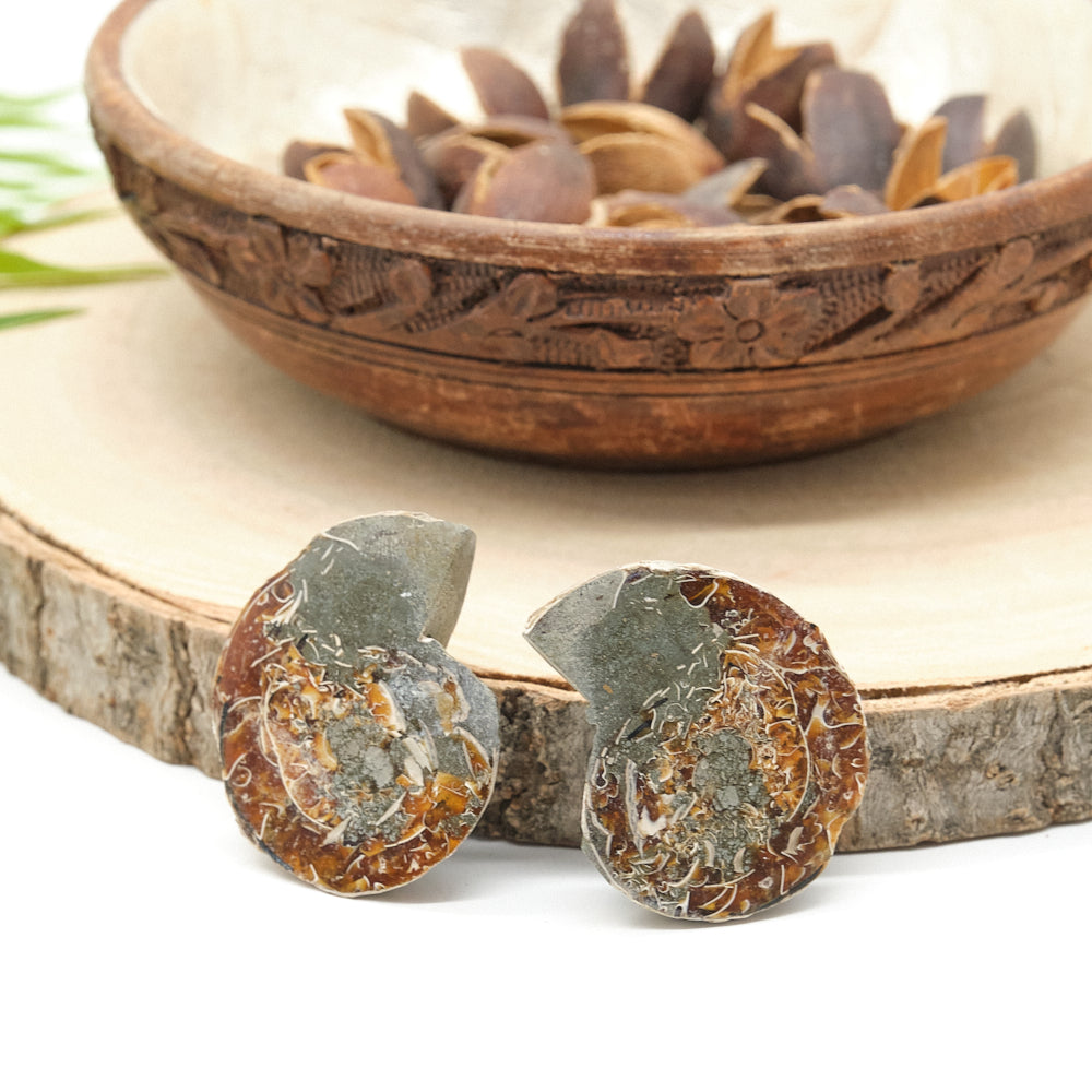 Large Genuine Ammonite Pairs 4-8cm