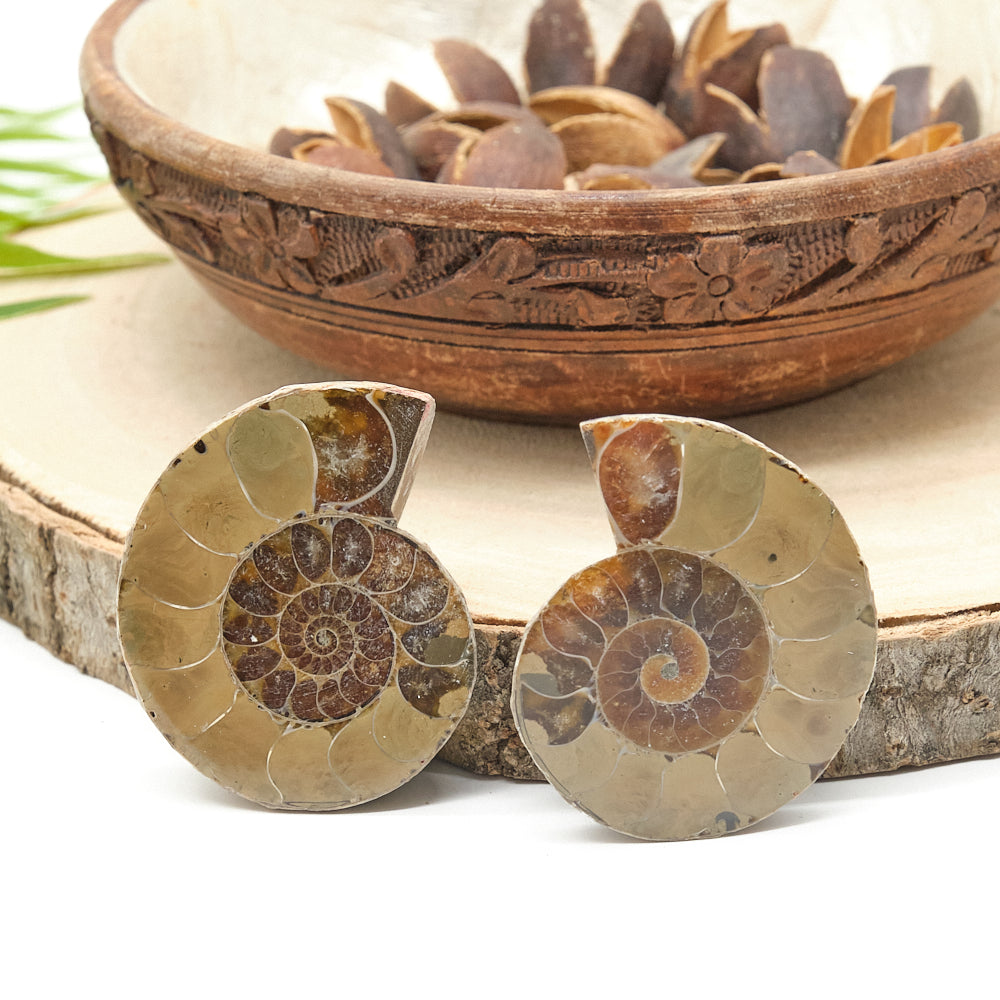 Large Genuine Ammonite Pairs 4-8cm
