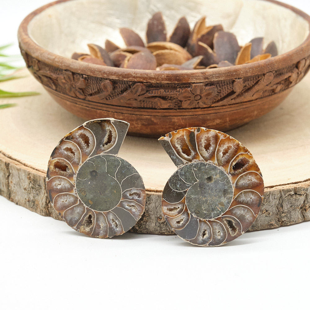 Large Genuine Ammonite Pairs 4-8cm