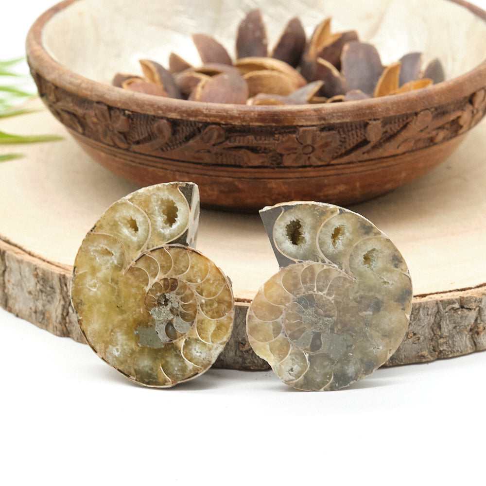 Large Genuine Ammonite Pairs 4-8cm