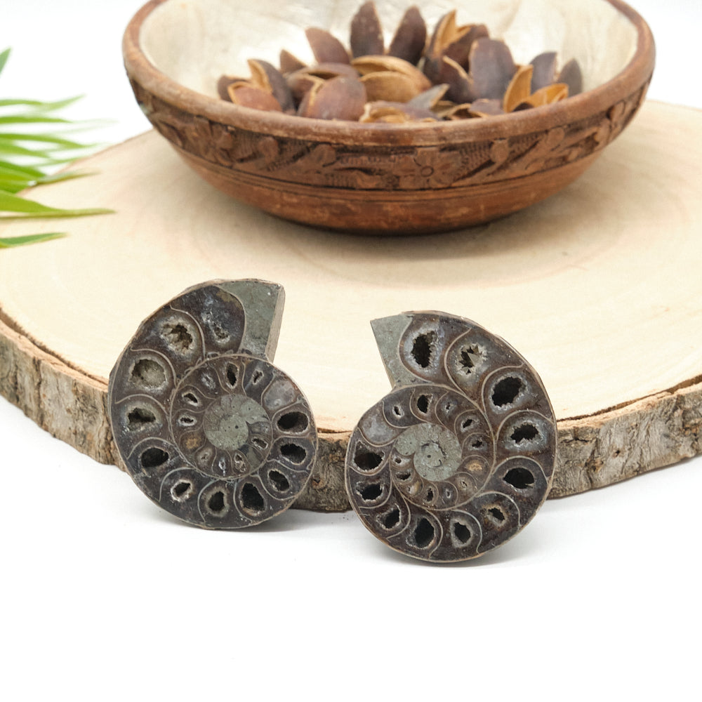 Large Genuine Ammonite Pairs 4-8cm
