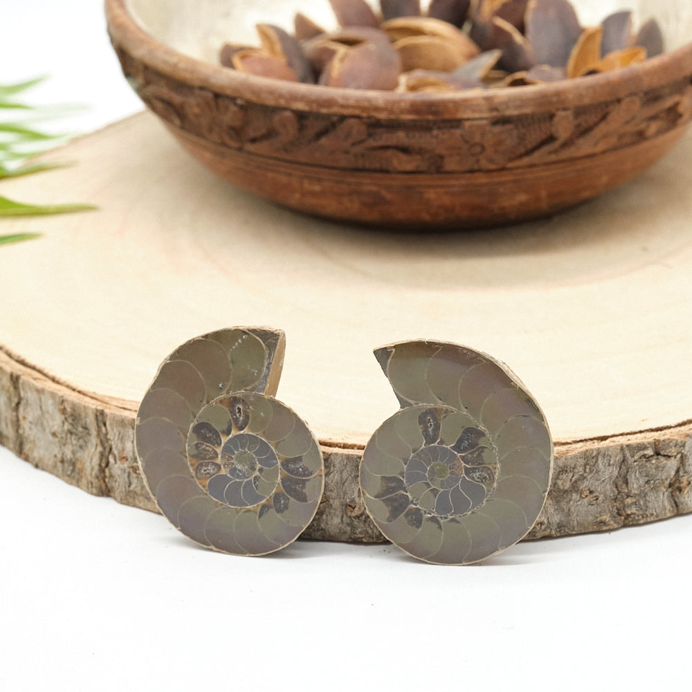 Large Genuine Ammonite Pairs 4-8cm