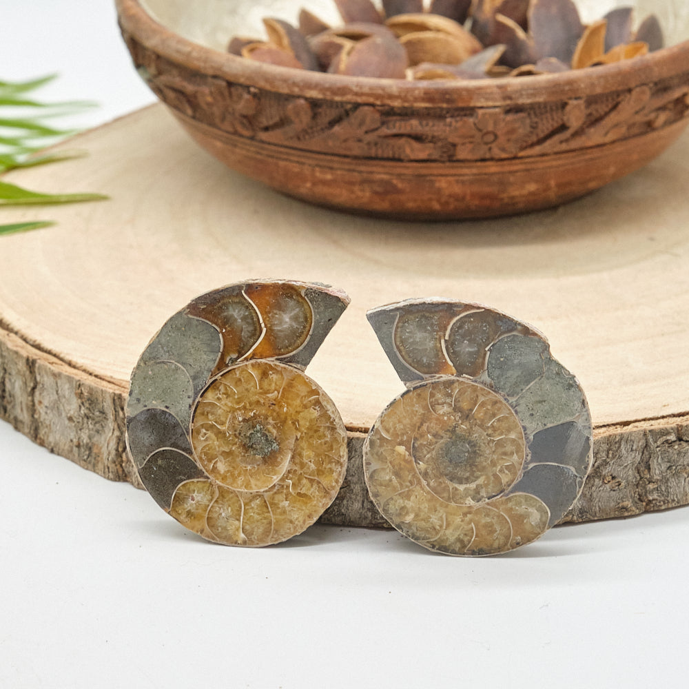 Large Genuine Ammonite Pairs 4-8cm