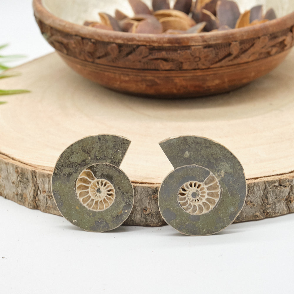 Large Genuine Ammonite Pairs 4-8cm