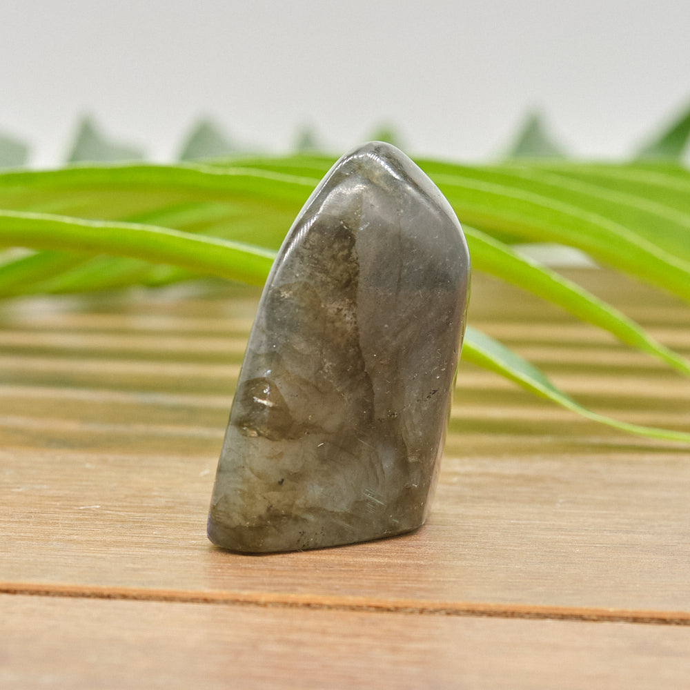 Natural Small Labradorite Freeform Polished Crystal 55g