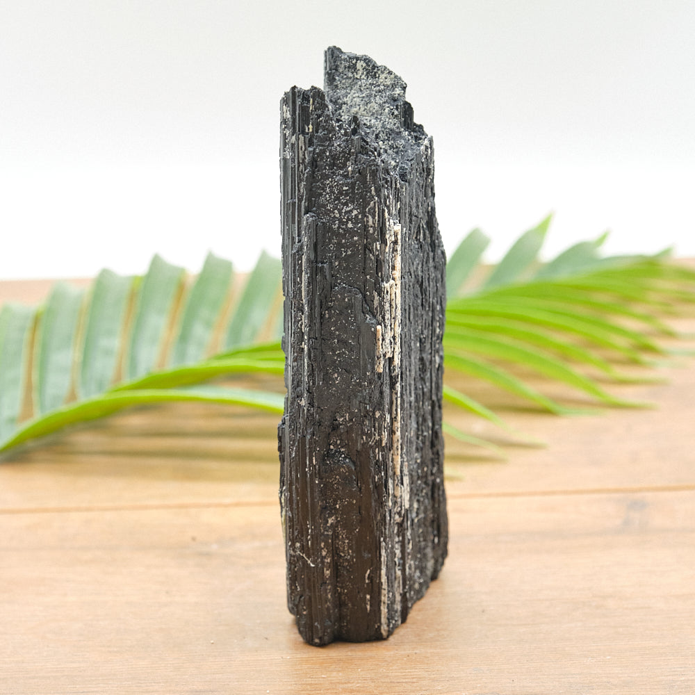 Large Rough Black Tourmaline Natural Rock 942g