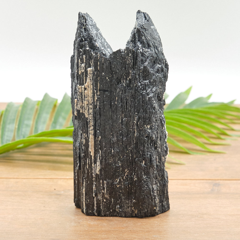 Large Rough Black Tourmaline Natural Rock 942g