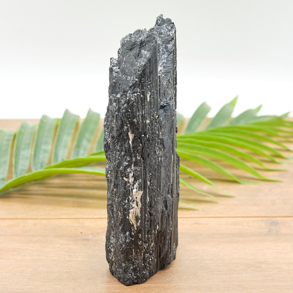 Large Rough Black Tourmaline Natural Rock 942g