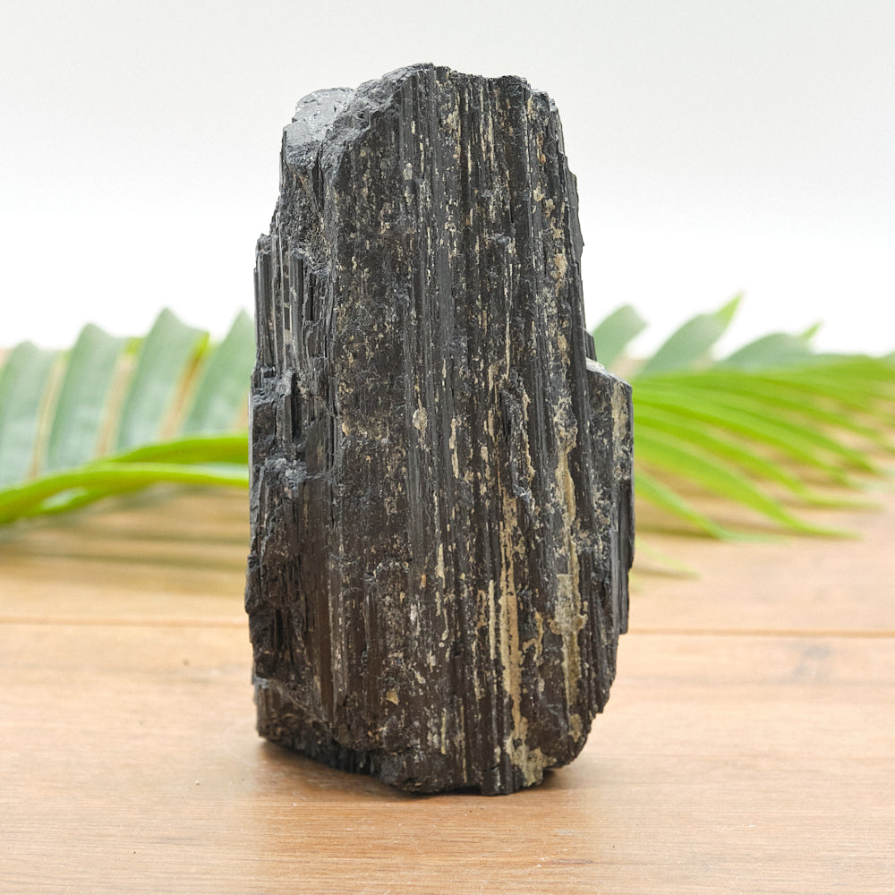 Large Rough Black Tourmaline Natural Rock 1005g