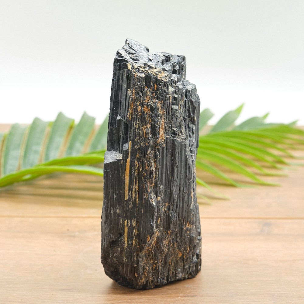 Large Rough Black Tourmaline Natural Rock 1005g