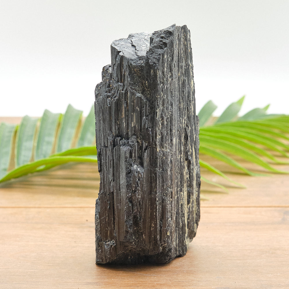 Large Rough Black Tourmaline Natural Rock 1005g