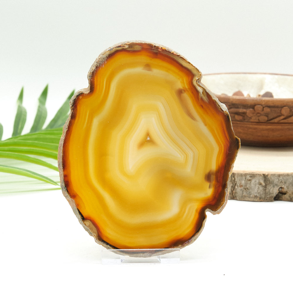 Large Natural Agate Slice With Stand
