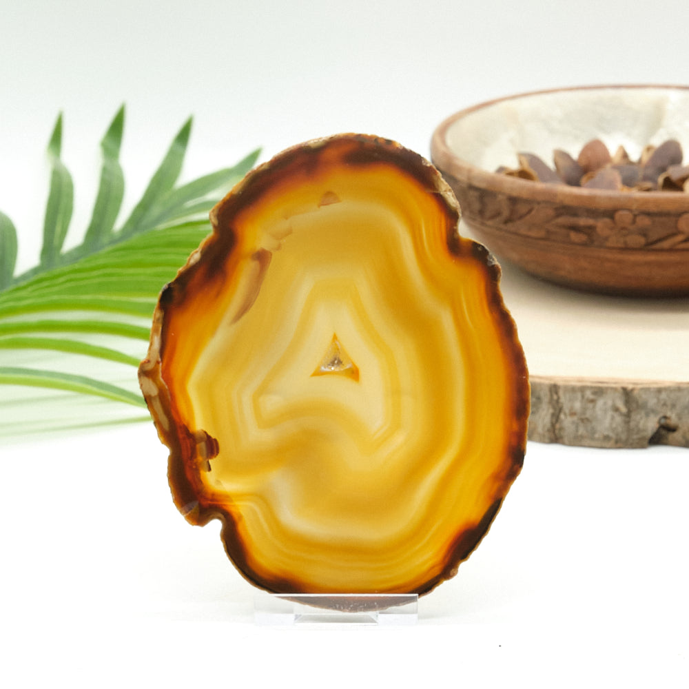 Large Natural Agate Slice With Stand