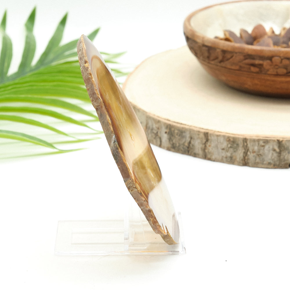 Large Natural Agate Slice With Stand