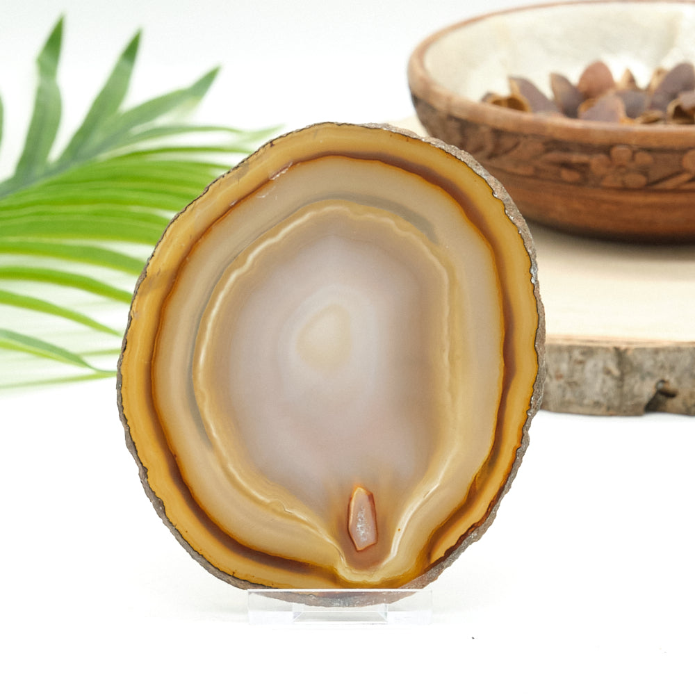 Large Natural Agate Slice With Stand