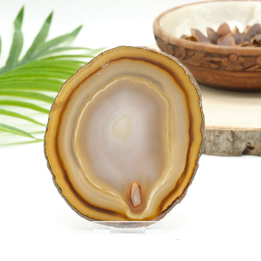 Large Natural Agate Slice With Stand