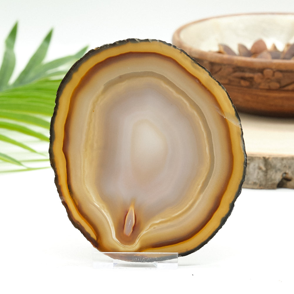 Large Natural Agate Slice With Stand
