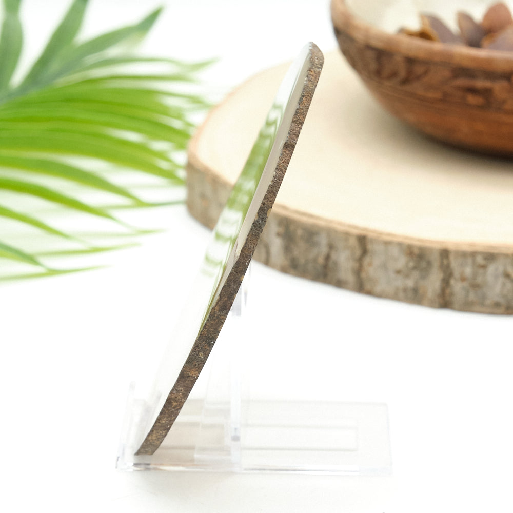 Large Natural Agate Slice With Stand